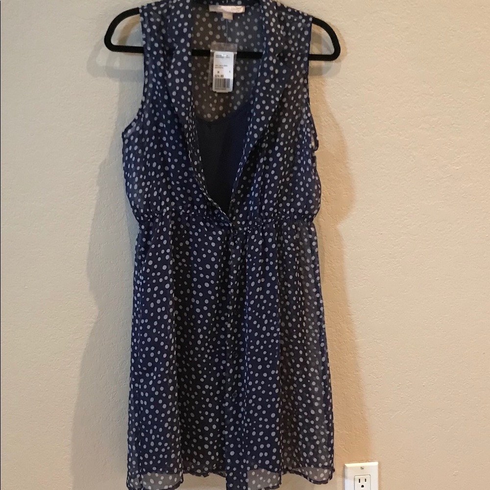 Party in Polka Dots